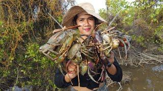 Hunting Giant Mud Crabs! Swamp Fishing at Low Tide!