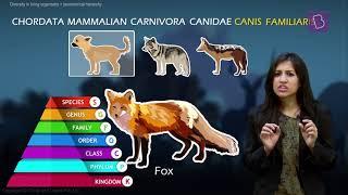 Taxonomy and Taxonomic Hierarchy (Biological Classification of Living Things)