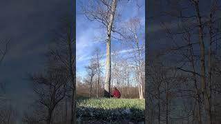 Nothing like a piped saw #treelife