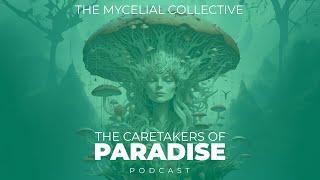 The Caretakers of Paradise Podcast - Episode 8 : The Mycelial Collective