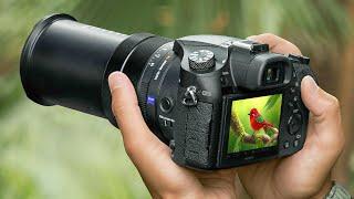 Best Zoom Cameras of 2024 - Top Superzoom Cameras 2024