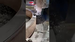 Large Diameter Titanium Ring 2 45 Meters Diameter TA2 Pure Titanium Ring