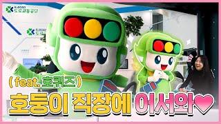 호둥이와 함께하는 도로교통공단 파헤치기!  호둥이 직장에 어서와~ (feat. 호둥이의 특별한 호퀴즈까지!)