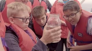 What is the UL Innovative Education Award?