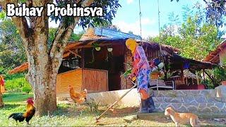 Buhay Probinsya Buhay Bukid My Simple lifestyle in the Philippines |Philippine Countryside@AmigaCha
