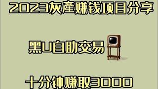 2023最新灰产|网赚 项目|网络赚钱 项目|赚钱干货|教你五分钟从0到650（真实网站演示教学）