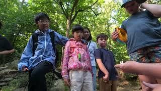 Little Tykes go on Hikes: Creek Walk