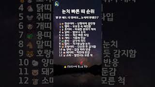 눈치 빠른 띠 순위