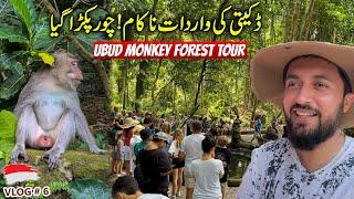 UBUD MONKEY  FOREST MN DAKETI HO GAI  | TRAVEL WITH ADIL INDONESIA TOUR