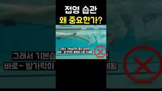 접영 습관이 중요한 이유
