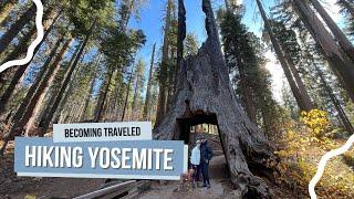 Explore Yosemite National Park with Willa the Vizsla