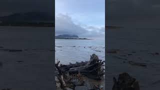 High Tide - Seaside, OR  Estuary Jan 10, 2021