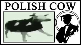 Why Dancing Polish Cow Is Great