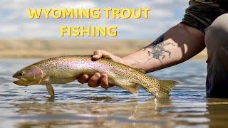 Wyoming Trout Fishing | Ugly Bug Fly Shop