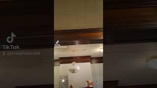 The Wonders of Wood Pt. 2