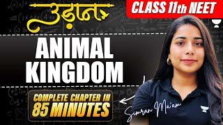 Master Animal Kingdom for NEET UG 2025 | One-Shot Lecture by Simran Ma'am | NEET Nova#neet2025