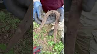 #копатели #metaldetecting #кладоискатели #коп #коппостарине #копповойне #находка #подкова