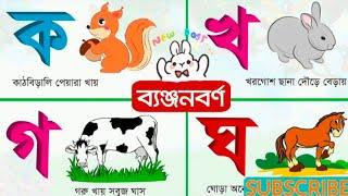 ক খ গ ঘ ব্যঞ্জনবর্ণ #2|| বাংলা বর্ণমালা || Bangla Bornomala