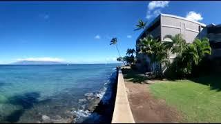 Pohailani Maui: 360 Video of Sitting on The Sea Wall (with turtles!)