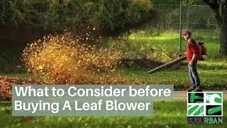 What To Know Before Buying a Leaf Blower