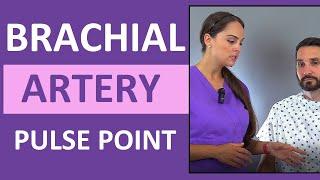 Brachial Artery Pulse Point Location Nursing Skill