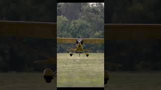Full Stall / Three point landing in a Taildragger #aviation #landing #pilot