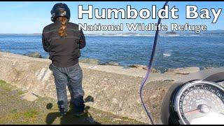 ASMR - Humboldt Bay National Wildlife Refuge | ROYAL ENFIELD Himalayan