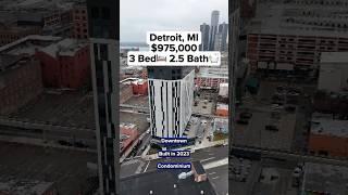 $975,000 Detroit, MI Condo Tour: 3 Beds, 2.5 Baths!