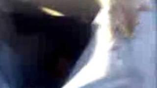 daniel meeks my bro and his friend in the car with a squirrel