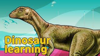 Dinosaur Fabrosaurus Collection | What is this dinosaur? | herbivorous dinosaur  | 공룡 파브로사우루스