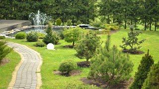 Garden pond renovation Timelapse