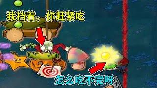 PVZ自制关卡：这个阵法“有点毒”呀，开局是个大问题！【梗梗游戏解说】