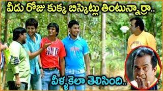 Brahmanandam, Yasho Sagar, Suman Shetty || Telugu Movie Scenes || Best Comedy Scenes