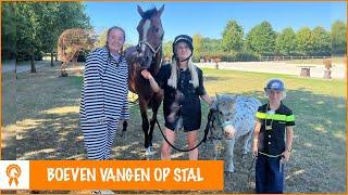 Eve omtoveren tot politiepaard! | PaardenpraatTV