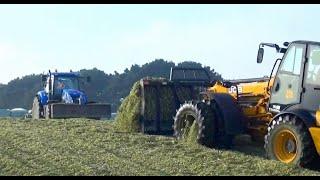 Maize - on the Pit, with JCB TM 320 and New Hollands.