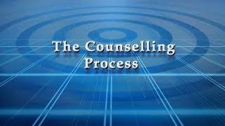 The Counseling Process