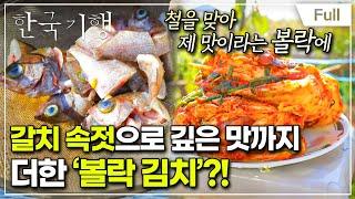 [Full] 한국기행 - 김치 대첩 제1부 별미 김치 맛보실래요?