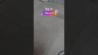 소파 찌든얼룩 다이소템으로 완전정복