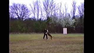 AKC Ch. Rakker (Belgian Malinois) SchH3 Protection - 1990