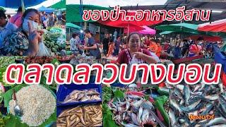 ตลาดลาวบางบอน!!!ของป่า…อาหารอีสานตามฤดูกาล(9มีนาคม2568)