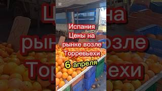 Испания. Цены на рынке возле Торревьехи #ценывиспании #торревьеха #переездвиспанию #эмиграция #внж