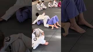 Gracie Raleigh Kids BJJ Belt Test