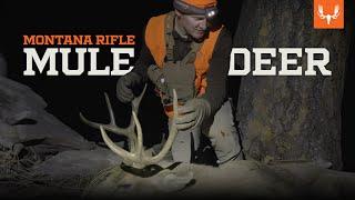 Montana Mule Deer | On the Hunt with Janis Putelis