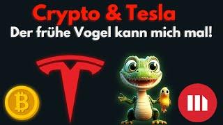 Bitcoin - MicroStrategy - Tesla | Der frühe Vogel kann mich mal!