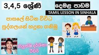 #Grade 4 Tamil 1st lesson for grade 5 Scholarship Exam 4 ශ්‍රේණිය දෙවන ජාතික භාෂාව දෙමළ