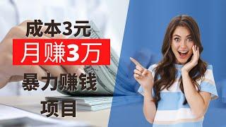 2022最新网赚项目，一个小众的网上赚钱项目，成本3元，月赚三万的暴力赚钱项目！