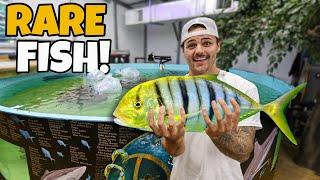 Buying MOST POWERFUL FISH for My SHARK POND!!