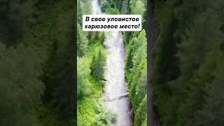 Когда поехал на рыбалку с другом! #рыбалка