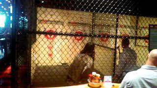 People throwing axes at The Hub Stadium