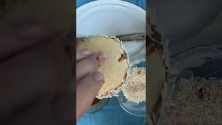 Alfajores Recipe